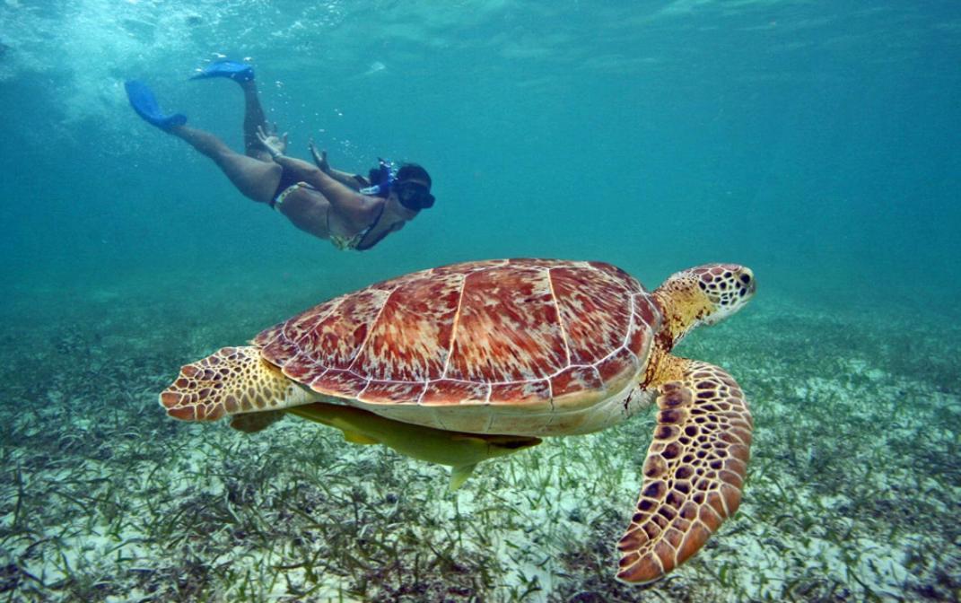Margaritas Leilighet Cancún Eksteriør bilde